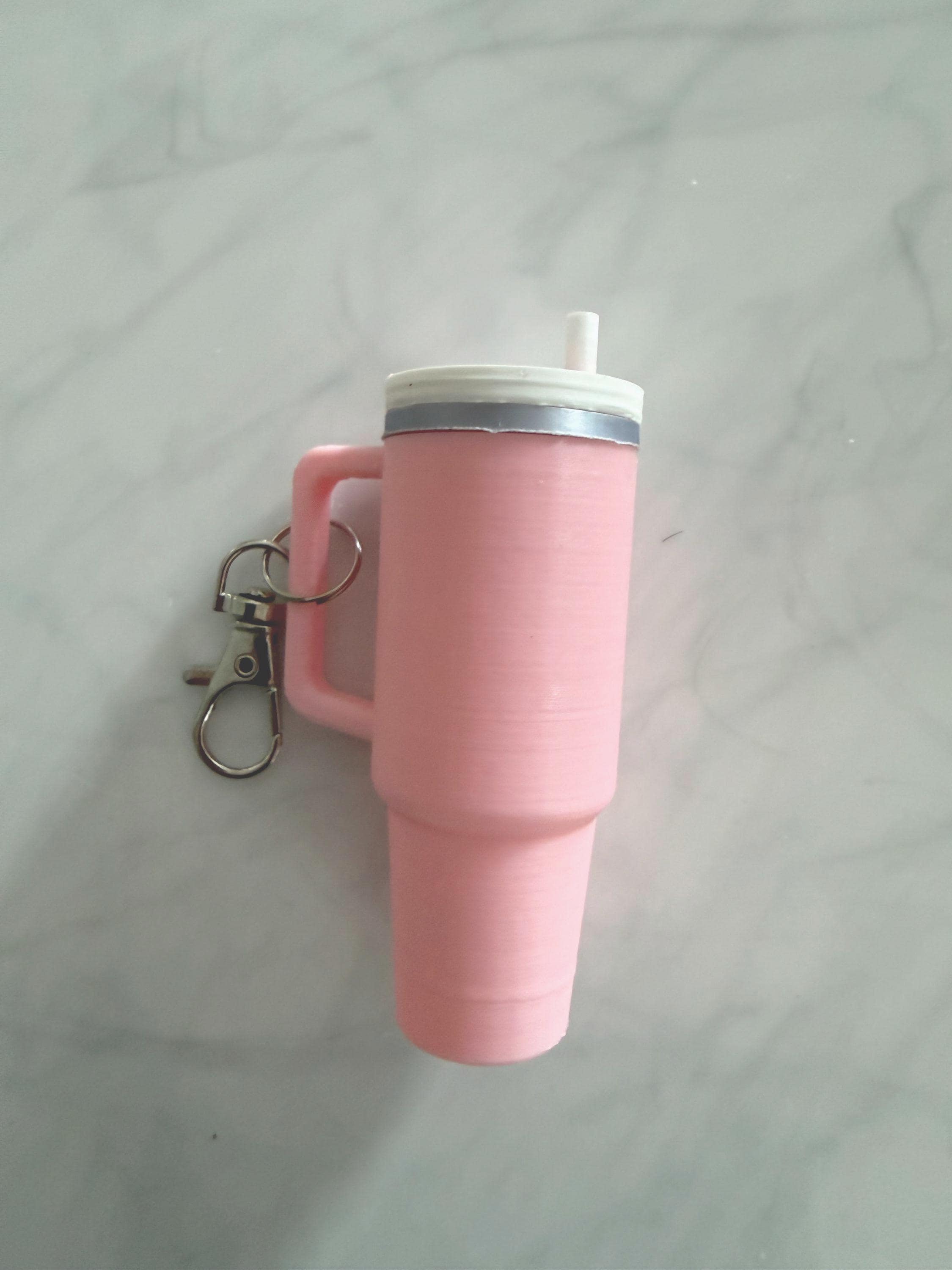 Mini Stanley Keychain Storage with Lip Balm